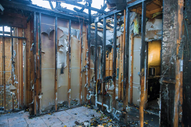 Professional Smoke Damage Removal technician working in Edwards, CO